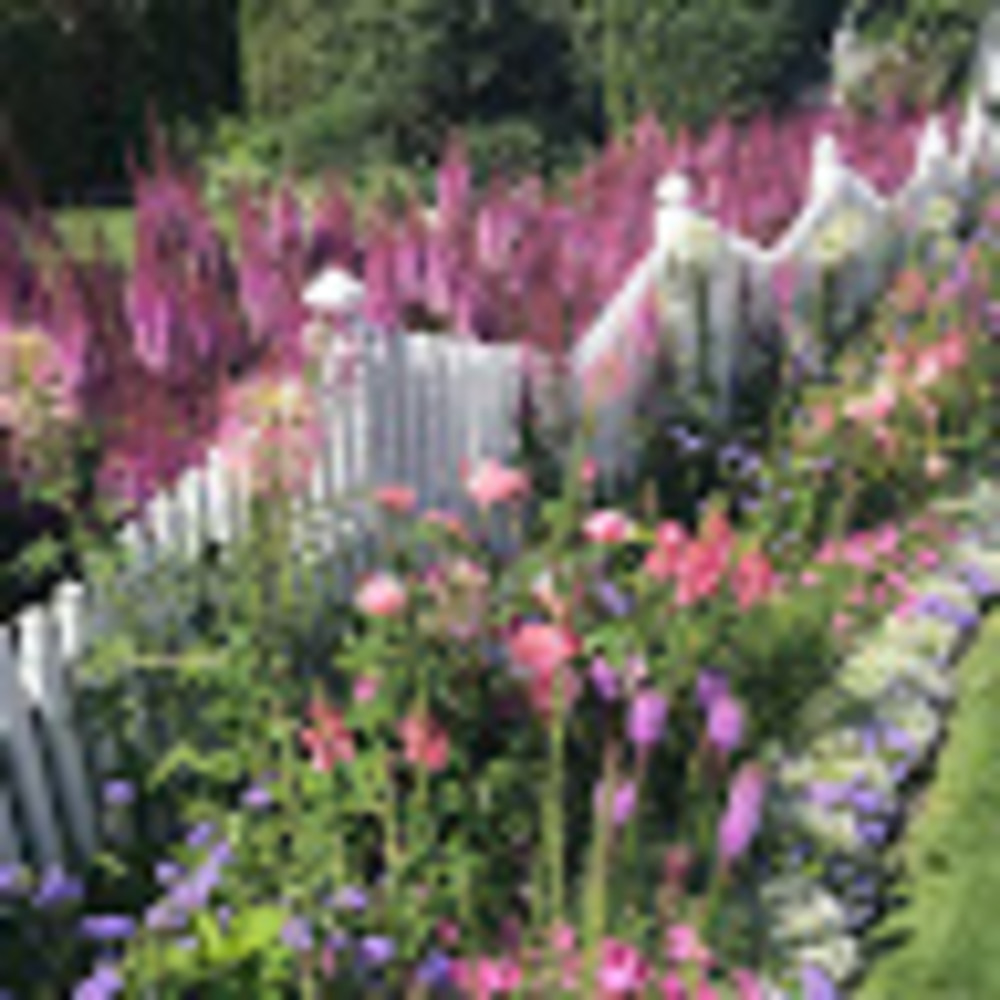 Meet your Posher, Erika